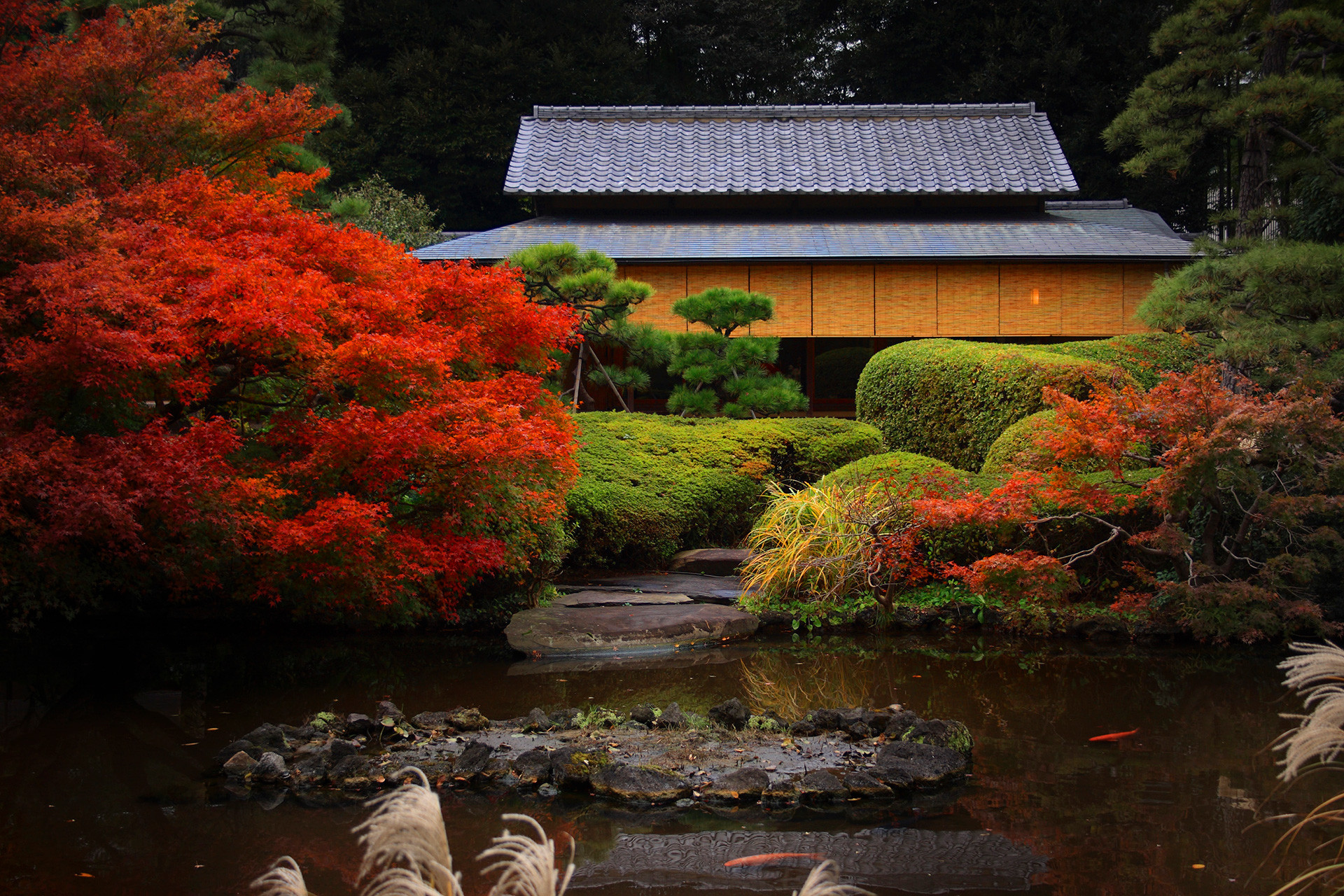 紅葉している日本庭園の写真