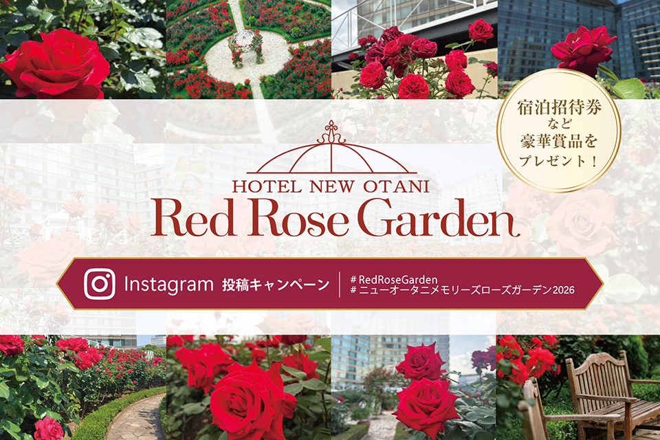 Red Rose Garden Instagram Photo Campaign