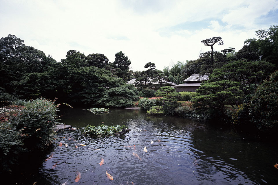 ④清泉池(せいせんいけ)